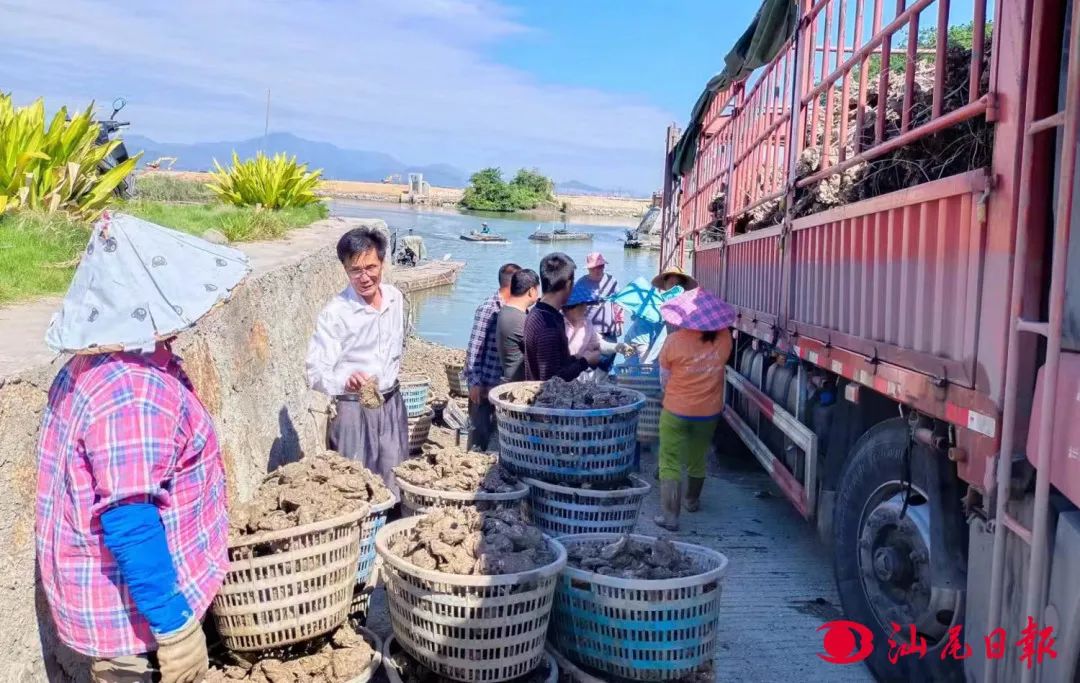 汕尾​城区：激活乡土人才“引擎” 助力乡村振兴“提速”