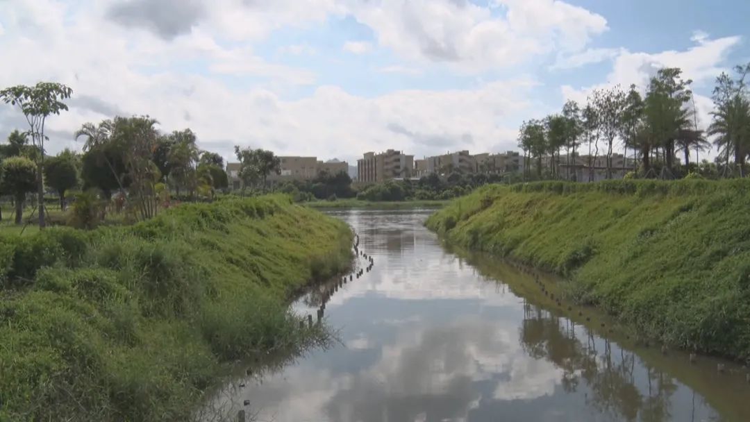 省水利厅肯定海丰县黄江河水环境治理和碧道建设工作