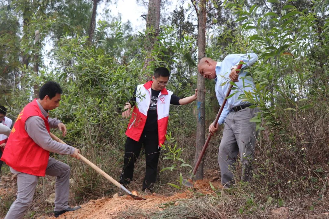 华侨区组织开展“绿美大干一场”机关单位植树活动