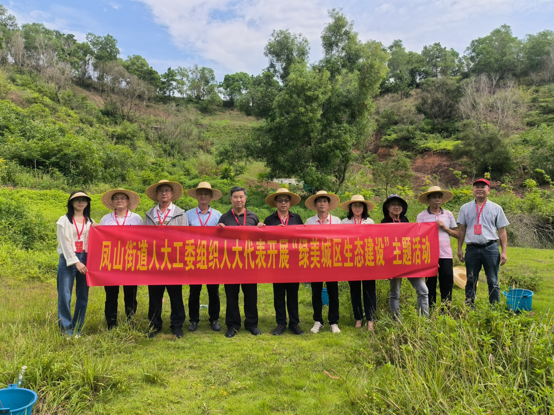 【绿美城区】凤山街道人大工委开展 “绿美城区生态建设” 主题活动 ... ...